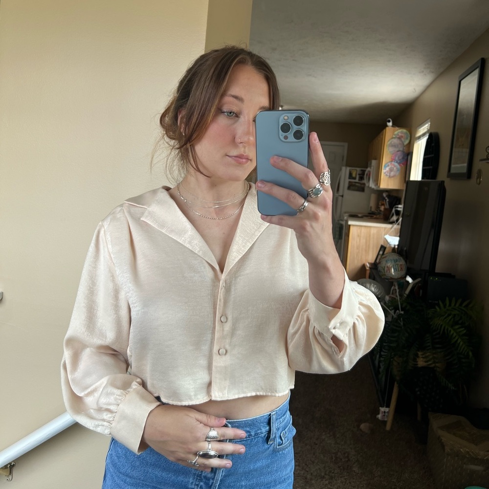 Zara silk crop top